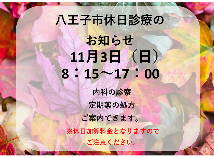 2024/11/3　八王子市休日診療のお知らせ